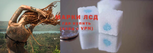 PSILOCYBIN Абаза