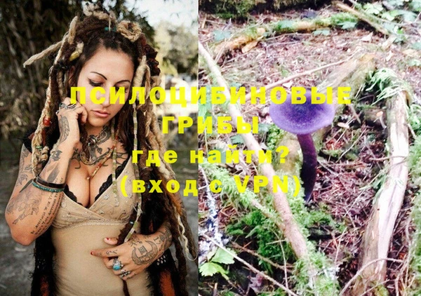 PSILOCYBIN Абаза